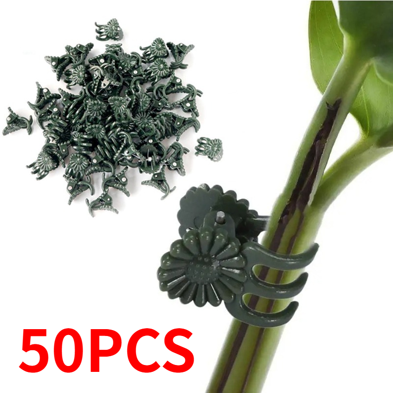 50PCS 5-Claw Dark Green Plant  - огляд і ціна Vine Climbing Plastic