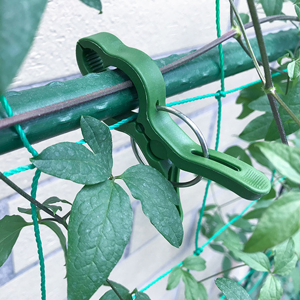 60Pcs Plant Support Clips for  - огляд і ціна Vine Climbing Plastic