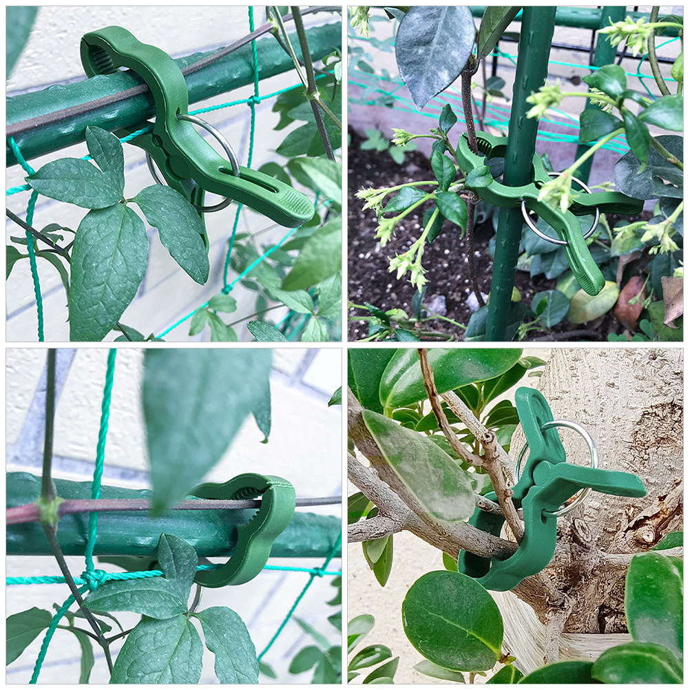 60Pcs Plant Support Clips for  - огляд і ціна Vine Climbing Plastic