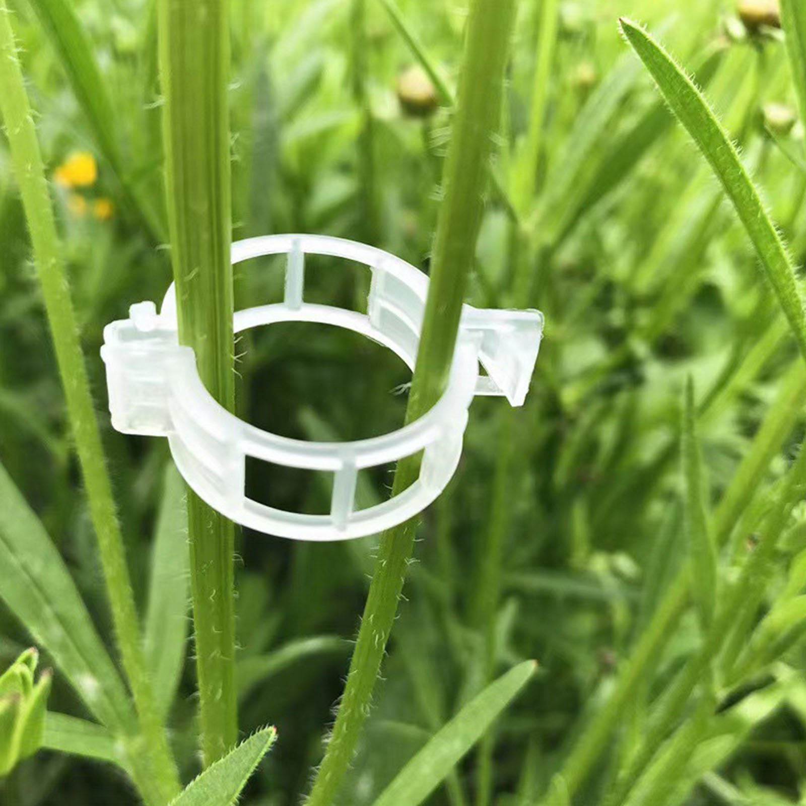 Secured Plastic Plant Clip for - огляд і ціна Vine Climbing Plastic