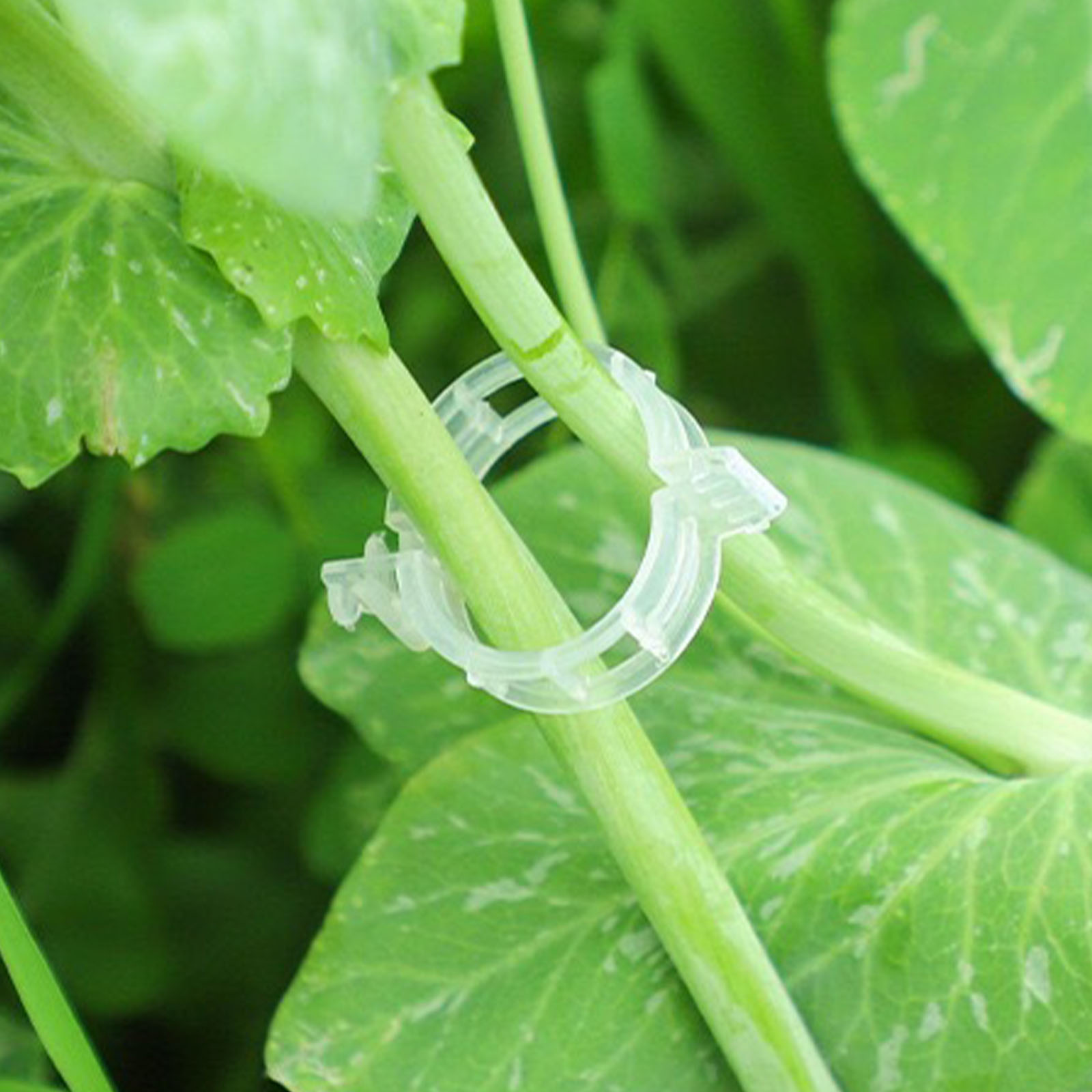 Secured Plastic Plant Clip for - огляд і ціна Vine Climbing Plastic